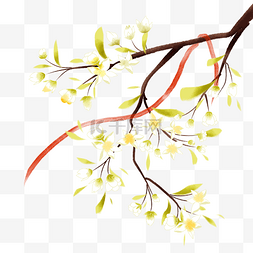 红丝带树枝图片_春天春季植物花枝树枝