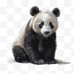 投喂国宝图片_卡通手绘国宝大熊猫