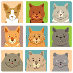 不同猫头像和表情的矢量图解