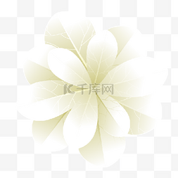白色可爱花瓣花朵装饰