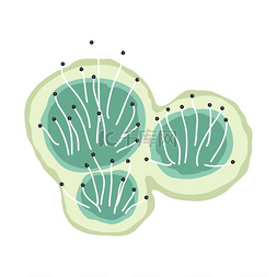 绿色模具图标插图以白色为背景绿