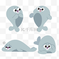 海豹动物可爱海豹