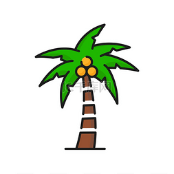 公园度假图片_带椰子的棕榈树、绿色热带树图标