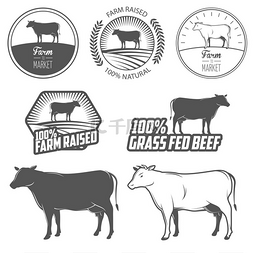 牛肉标签、 徽章和设计元素的集