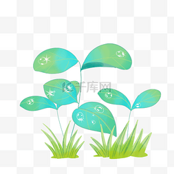 绿色水滴树叶图片_绿色植物露水