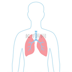 医学呼吸图标图片_与肺内部器官的例证。