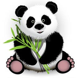 卡通the图片_Curious panda