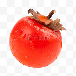 红柿子柿子图片_新鲜水果红柿子