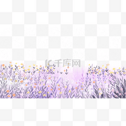 夏季植物紫色