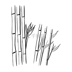 日本禅文化图片_在素描风格中孤立的竹子。