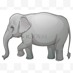 大象石膏图片_亚洲大象