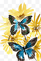 黄花与蝴蝶