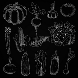 豌豆素描图片_黑板上的玉米芯和洋葱、南瓜和西