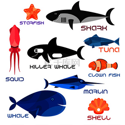 卡通鱼小丑鱼图片_五颜六色的巨型蓝鲸、虎鲸和礁鲨
