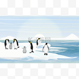 海岸晚霞图片_一群有小鸡的皇家企鹅有冰雪的海