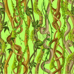 热带雨林棕榈图片_扭曲的野生藤本植物无缝模式。