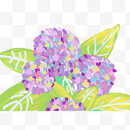 植物水粉图片_小清新油画棒水粉紫色花卉花朵