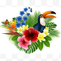 野生大鸟图片_卡通巨嘴鸟和蝴蝶与花朵和叶子背