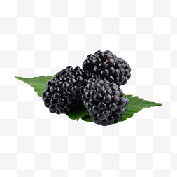 黑莓浆果维生素自然