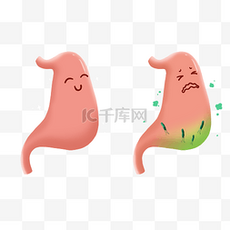 炎症小体图片_人体内脏肠胃炎人体内脏器官医疗