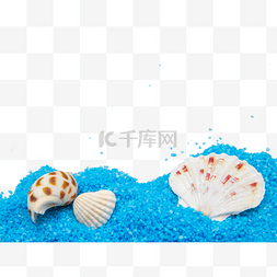 虾夷扇贝图片_蓝色沙子扇贝海螺