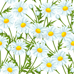干菊花瓣图片_与洋甘菊花的无缝模式。