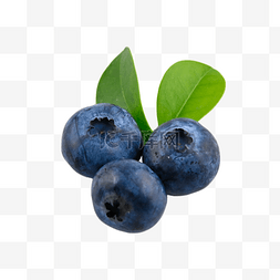 梅蓝色图片_蓝莓浆果摄影图食品