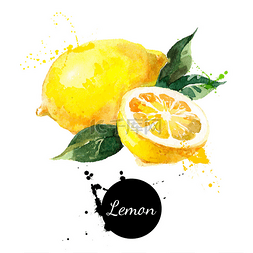 手绘水彩画柠檬