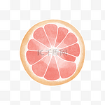 水彩水果柠檬西柚