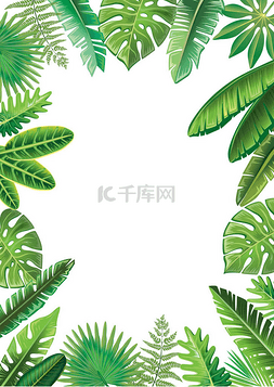 绿色装饰的树图片_ 热带树叶的框架