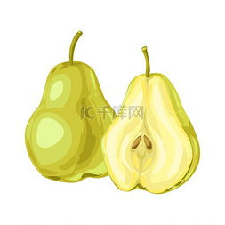 成熟的梨和切片的插图。