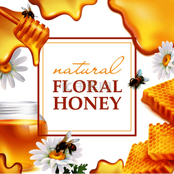 流动的蜂蜜图片_天然花卉蜂蜜彩色框架与蜂窝菊花