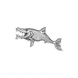 素描鲨鱼图片_海洋动物鲸类动物素描孤立的水生
