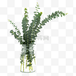 彩绘花瓶免抠素材图片_尤加利装饰花瓶绿植