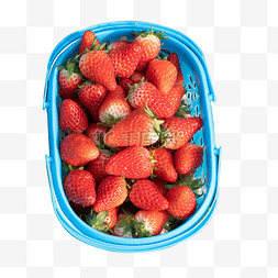 草莓一筐图片_新鲜水果一筐草莓