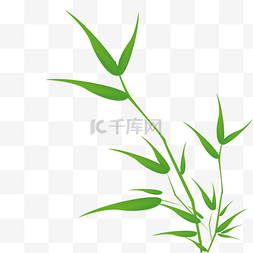 绿竹竹子