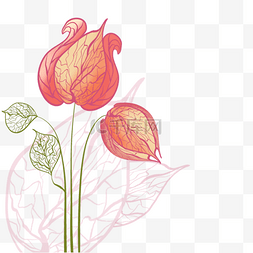 线条花卉植物图片_花卉植物抽象红色花苞线稿