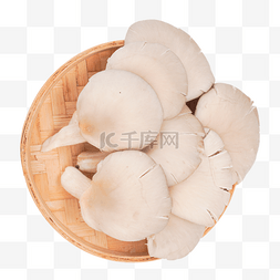 炒菠菜秀珍菇图片_秀珍菇菌类蔬菜