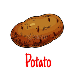 土豆块茎图片_土豆蔬菜图标马铃薯块茎分离矢量