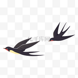 黑色鸟类图片_黑色飞舞的燕子