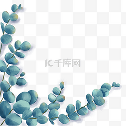 水彩尤加利叶图片_桉树尤加利叶植物叶子