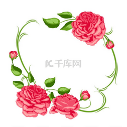 用红玫瑰框起来美丽的装饰花花蕾