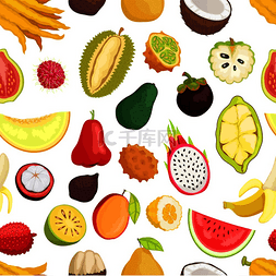 水果荔枝图标图片_Kiwano 椰子和香蕉、鳄梨和 cupuacu、