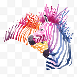 水彩斑马动物图片_水彩风格彩色斑马