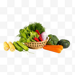 红萝卜蔬菜图片_茴香红萝卜苦瓜玉米南瓜果蔬组合