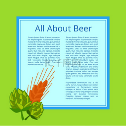 所有关于啤酒海报有绿色背景。