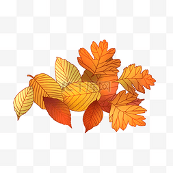 秋季落叶堆图片_秋季树叶落叶堆