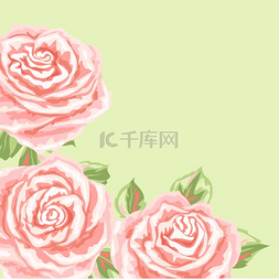 现实的玫瑰图片_背景或卡片上有粉红色的玫瑰美丽