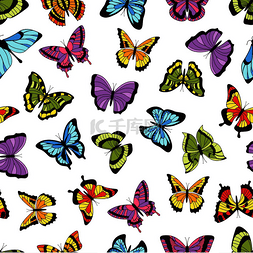 昆虫和花卉图片_蝴蝶无缝图案花卉花园印花蝴蝶和