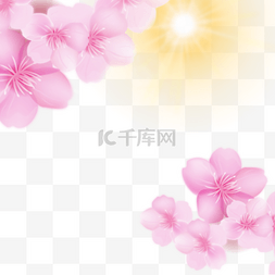 粉色阳光图片_浪漫粉色花朵边框
